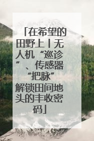 在希望的田野上丨无人机“巡诊”、传感器“把脉” 解锁田间地头的丰收密码