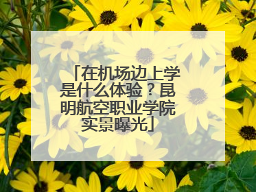 在机场边上学是什么体验？昆明航空职业学院实景曝光