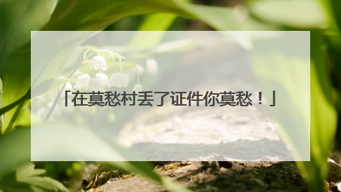 在莫愁村丢了证件你莫愁！