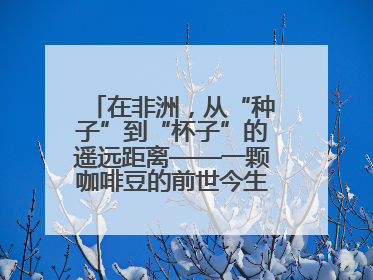 在非洲，从“种子”到“杯子”的遥远距离——一颗咖啡豆的前世今生（三）