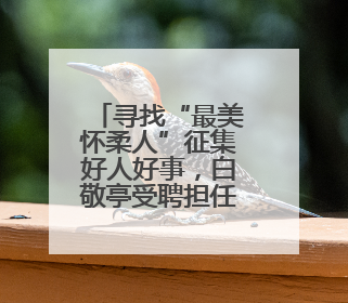寻找“最美怀柔人”征集好人好事，白敬亭受聘担任形象大使