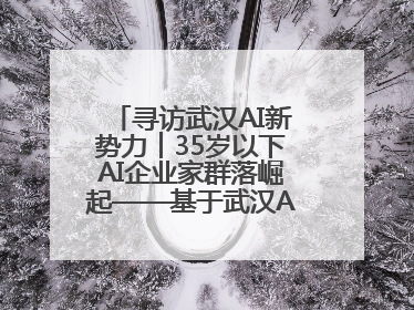 寻访武汉AI新势力︱35岁以下AI企业家群落崛起——基于武汉AI新势力的调研