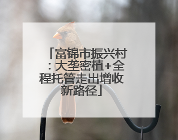 富锦市振兴村：大垄密植+全程托管走出增收新路径