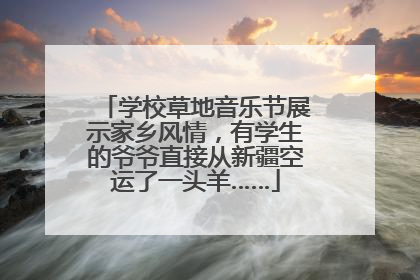 学校草地音乐节展示家乡风情，有学生的爷爷直接从新疆空运了一头羊……