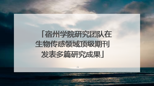 宿州学院研究团队在生物传感领域顶级期刊发表多篇研究成果
