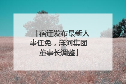 宿迁发布最新人事任免，洋河集团董事长调整