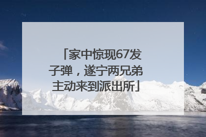 家中惊现67发子弹，遂宁两兄弟主动来到派出所