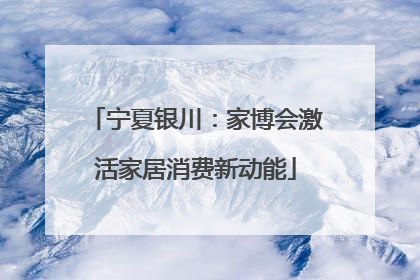宁夏银川：家博会激活家居消费新动能