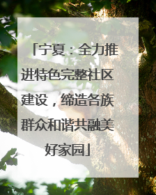 宁夏：全力推进特色完整社区建设，缔造各族群众和谐共融美好家园