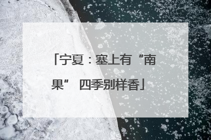 宁夏：塞上有“南果” 四季别样香