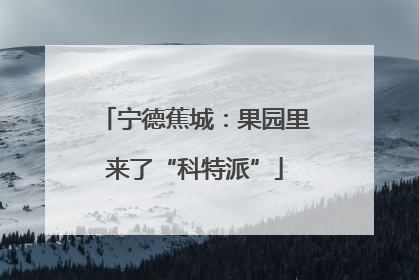 宁德蕉城：果园里来了“科特派”