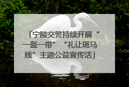 宁陵交警持续开展“一盔一带”“礼让斑马线”主题公益宣传活