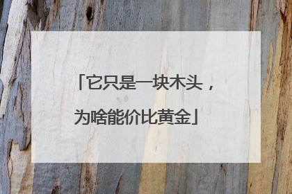 它只是一块木头,为啥能价比黄金