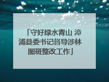 守好绿水青山 漳浦县委书记督导涉林图斑整改工作