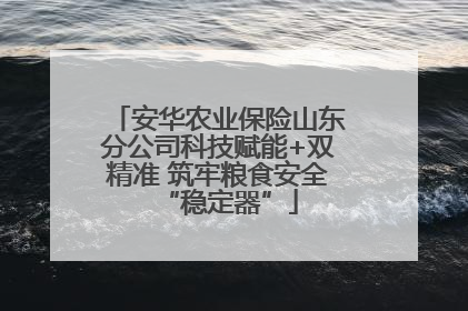安华农业保险山东分公司科技赋能+双精准 筑牢粮食安全“稳定器”