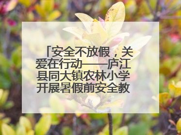 安全不放假，关爱在行动——庐江县同大镇农林小学开展暑假前安全教育大家访