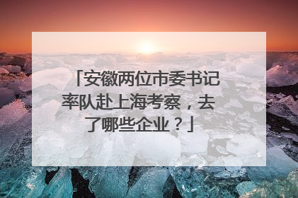 安徽两位市委书记率队赴上海考察，去了哪些企业？