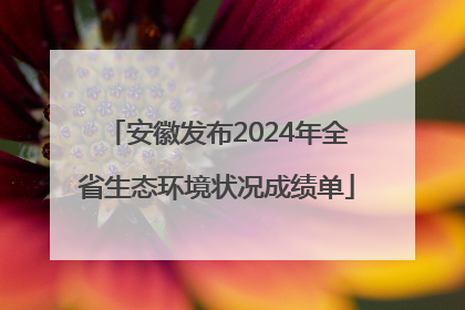 安徽发布2024年全省生态环境状况成绩单
