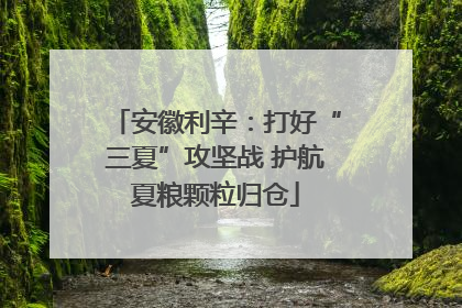 安徽利辛：打好“三夏”攻坚战 护航夏粮颗粒归仓