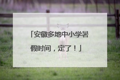 安徽多地中小学暑假时间，定了！