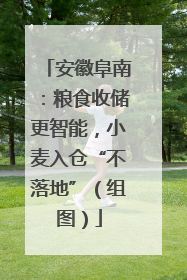 安徽阜南：粮食收储更智能，小麦入仓“不落地”（组图）