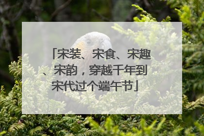 宋装、宋食、宋趣、宋韵，穿越千年到宋代过个端午节