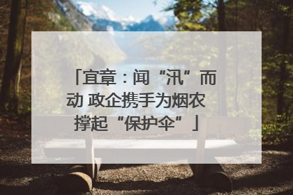 宜章：闻“汛”而动 政企携手为烟农撑起“保护伞”