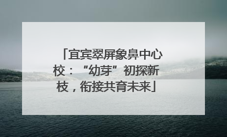 宜宾翠屏象鼻中心校：“幼芽”初探新枝，衔接共育未来