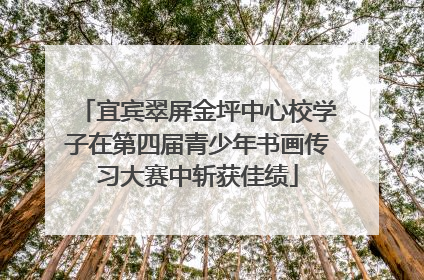 宜宾翠屏金坪中心校学子在第四届青少年书画传习大赛中斩获佳绩