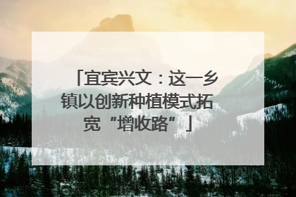 宜宾兴文：这一乡镇以创新种植模式拓宽“增收路”