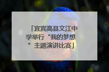 宜宾高县文江中学举行“我的梦想”主题演讲比赛