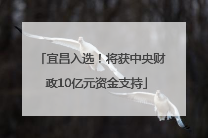 宜昌入选！将获中央财政10亿元资金支持