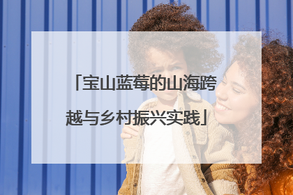宝山蓝莓的山海跨越与乡村振兴实践