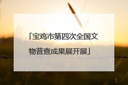 宝鸡市第四次全国文物普查成果展开展