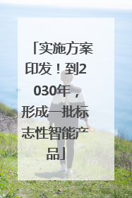 实施方案印发！到2030年，形成一批标志性智能产品