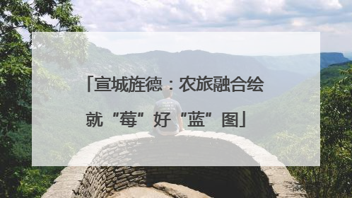 宣城旌德：农旅融合绘就“莓”好“蓝”图