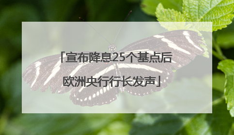 宣布降息25个基点后 欧洲央行行长发声