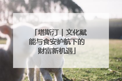 塔斯汀｜文化赋能与食安护航下的财富新机遇