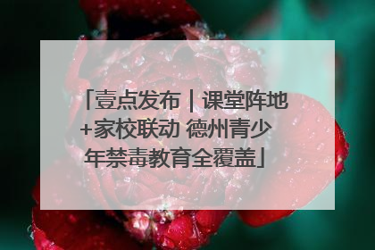 壹点发布｜课堂阵地+家校联动 德州青少年禁毒教育全覆盖