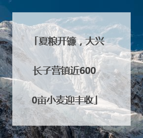 夏粮开镰，大兴长子营镇近6000亩小麦迎丰收