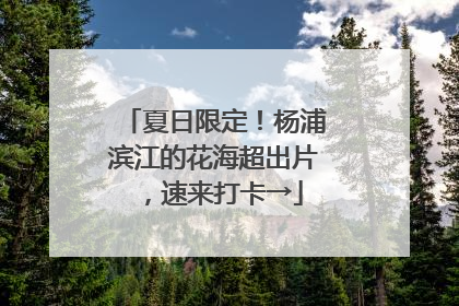 夏日限定！杨浦滨江的花海超出片，速来打卡→