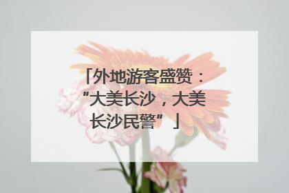 外地游客盛赞：“大美长沙，大美长沙民警”