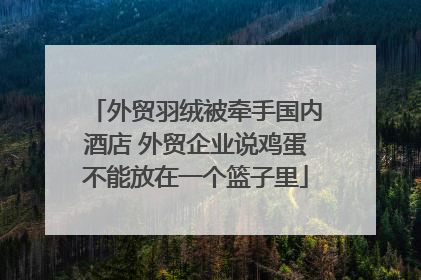 外贸羽绒被牵手国内酒店 外贸企业说鸡蛋不能放在一个篮子里