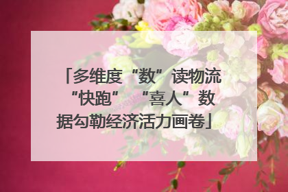 多维度“数”读物流“快跑” “喜人”数据勾勒经济活力画卷