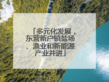 多元化发展，东营新户镇盐场、渔业和新能源产业并进