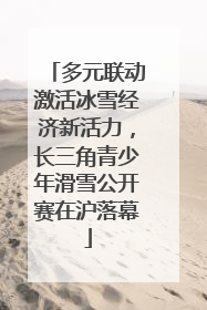 多元联动激活冰雪经济新活力，长三角青少年滑雪公开赛在沪落幕