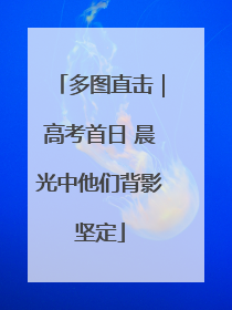 多图直击｜高考首日 晨光中他们背影坚定