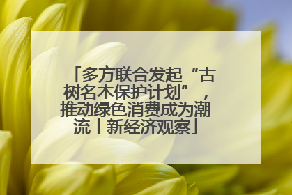 多方联合发起“古树名木保护计划”，推动绿色消费成为潮流丨新经济观察