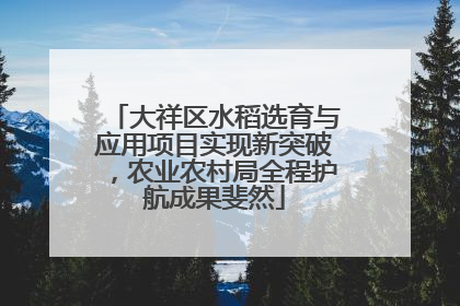 大祥区水稻选育与应用项目实现新突破，农业农村局全程护航成果斐然