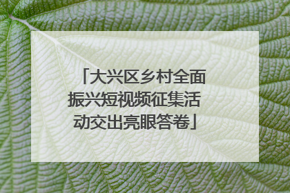 大兴区乡村全面振兴短视频征集活动交出亮眼答卷